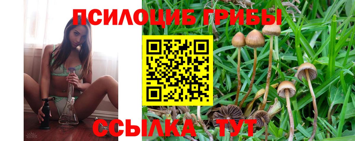 Сочи  Псилоцибиновые грибы Magic Shrooms  Вход с VPN 